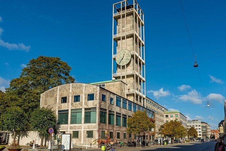 Excursão de meio dia a Aarhus como um local