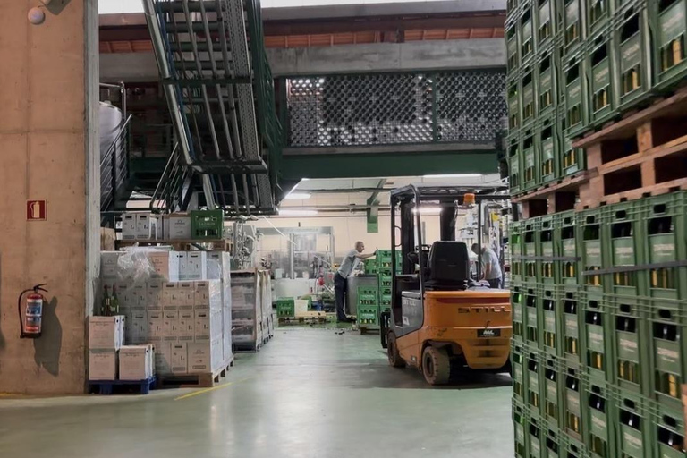 Traditional Cider House Tour | Zapiain, San Sebastián