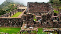 De Cusco, Choquequirao Express Trek 3 jours et 2 nuits - Housity