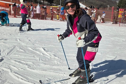 From Seoul: 5-Day Winter Tour with Nami Island & Skiing