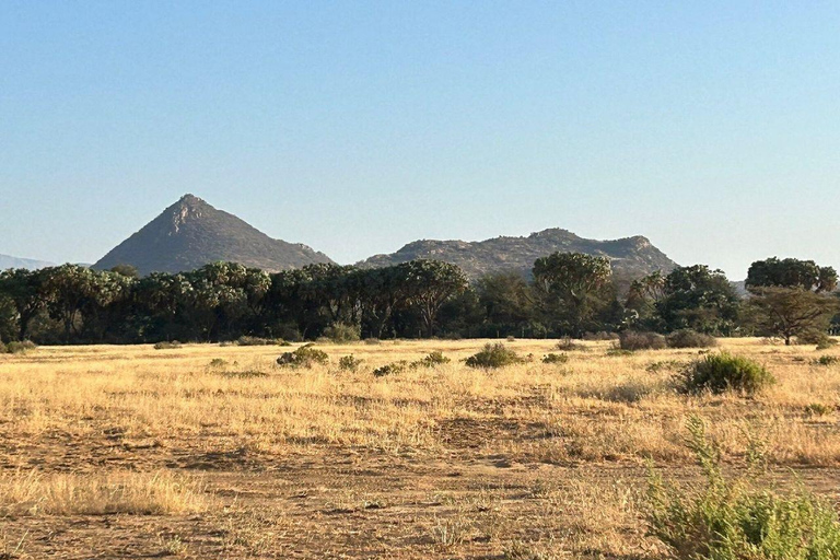 3 Days, 2 nights safari to Samburu National Reserve 3 Days private safari in a 4x4 Landcruiser jeep