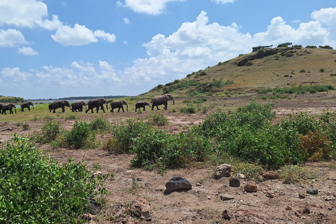 Nairobi: Amboseli National Park Tagestour mit PirschfahrtenSolo Nairobi: Amboseli National Park Tagestour