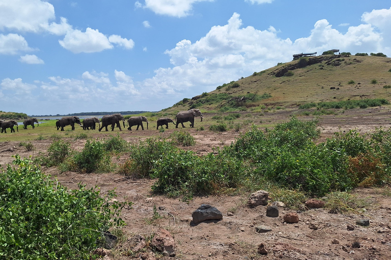 Nairobi: Amboseli National Park Tagestour mit PirschfahrtenSolo Nairobi: Amboseli National Park Tagestour