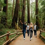 San Francisco: tour della città, Alcatraz, Muir Woods e Sausalito