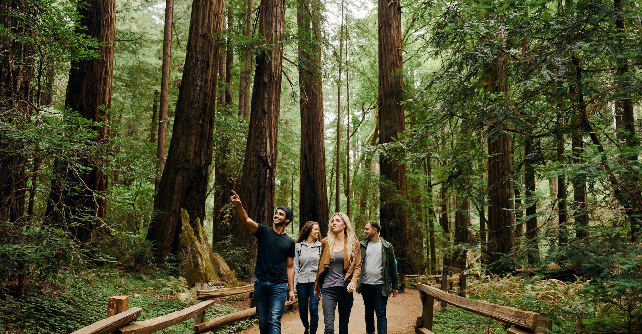 San Francisco: Alcatraz + City Tour, Muir Woods & Sausalito