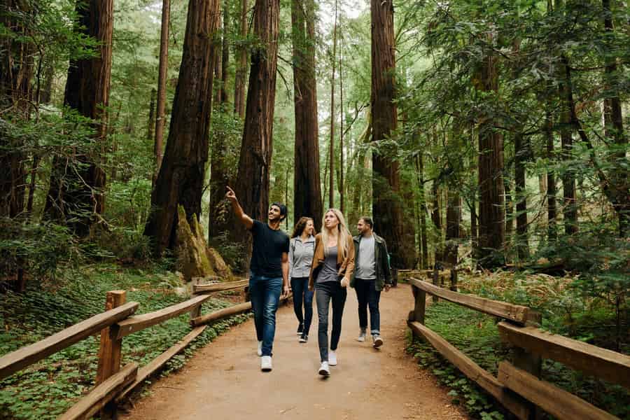 San Francisco: Muir Woods & Sausalito Tour mit Alcatraz Option. Foto: GetYourGuide