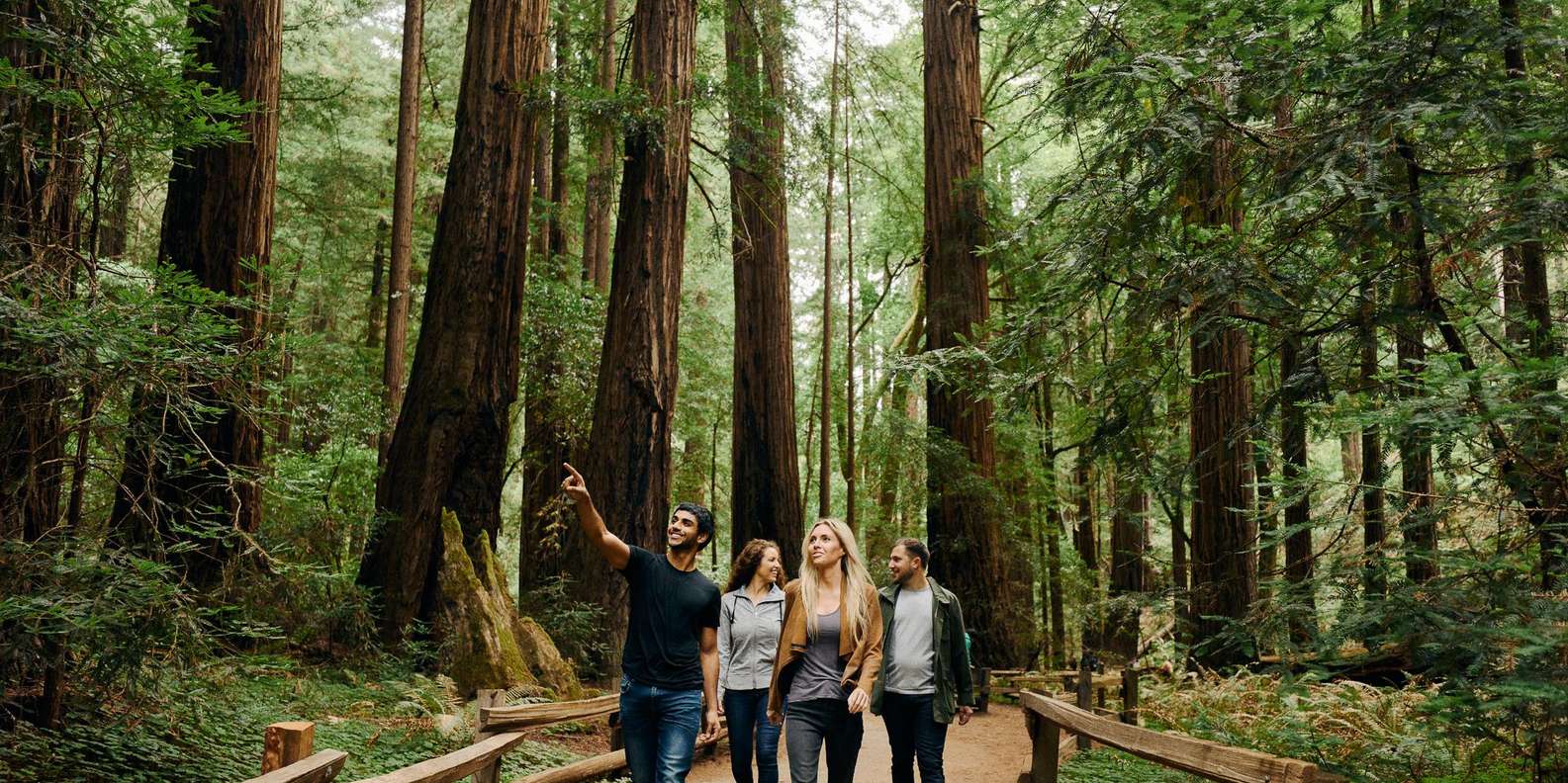 San Francisco: Alcatraz + City Tour, Muir Woods & Sausalito - tour image