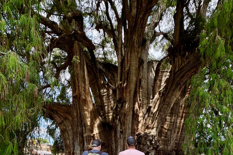 Monte Albán and Mitla Day Tour Monte Alban and Mitla Day Tour