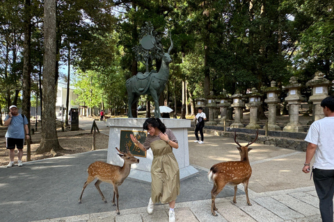 Nara : Visite guidée à pied avec le Grand Bouddha et les daims(5h)