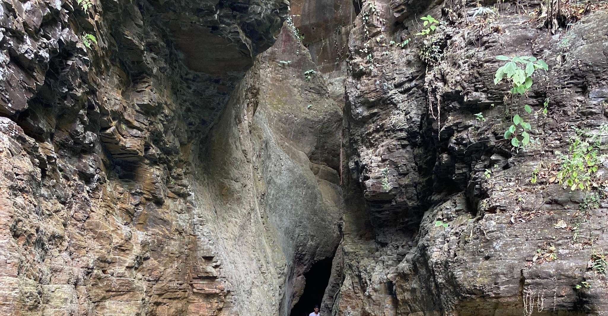 La Leona Cascada Hike - Hizvo