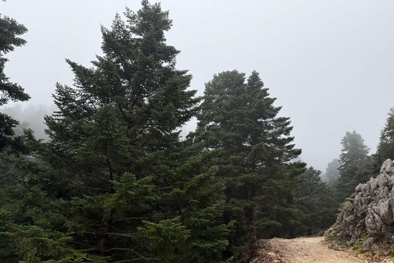 Kefalonia Ainos Premium 4x4 Van Experience Pick-up from Argostoli, Lassi, Svoronata, Lourdata Areas