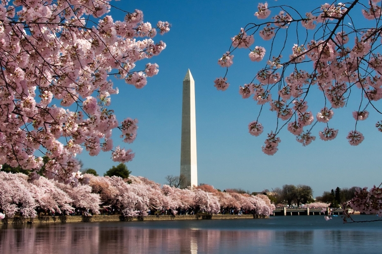 Washington DC: Multilingual Private Day or Evening SUV Tour Private City Tour in English or Spanish