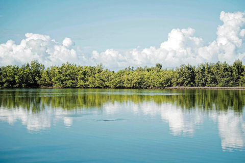 Dagsutflykt från Fort Lauderdale till Islamorada