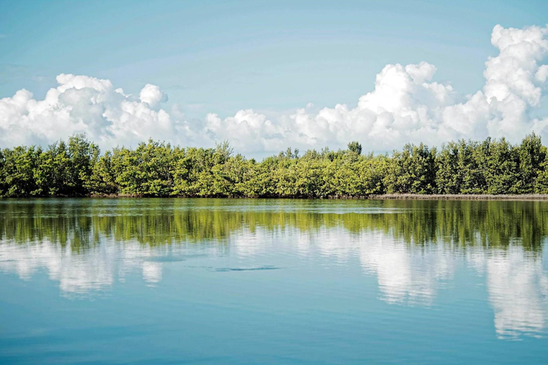 Viagem de 1 dia de Fort Lauderdale a Islamorada