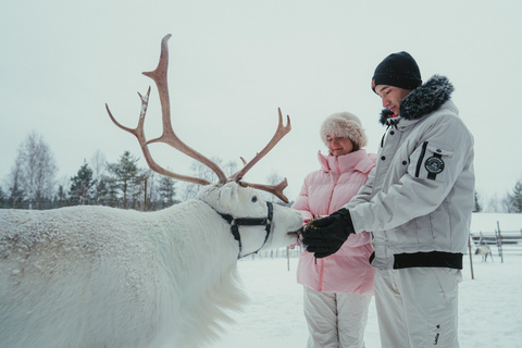 Rovaniemi: Reindeer Farm Visit with Photographer
