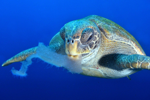 San Cristobal, Galapagos: 4-Day / 3-Night El Origen Package San Cristóbal, Galápagos: 4-Day, 3-Night El Origen Package
