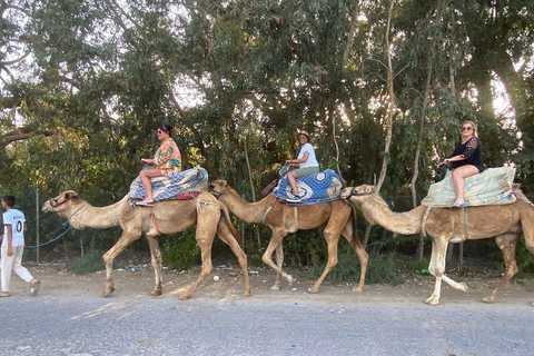 Agadir: Private Souss River Camel Ride with Pickup