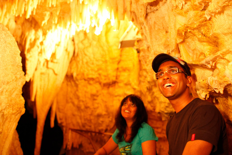 WAITOMO GLOWWORM &amp; RUAKURI CAVES-PRIVATE TOUR FROM AUCKLAND