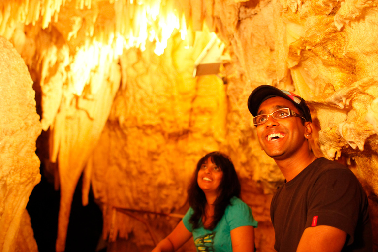 JUST WAITOMO GLOWWORM AND RUAKURI CAVES TOUR FROM AUCKLAND