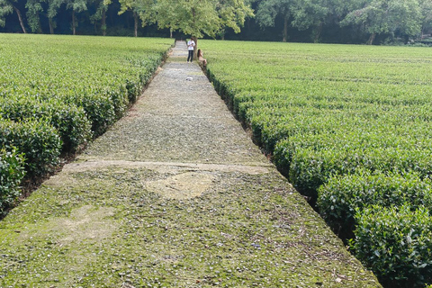 Hangzhou Jiuxi, Shililangdang & Yunqi Day Hiking Tour