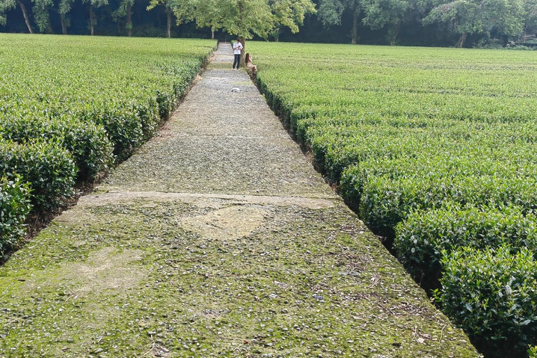 Hangzhou Jiuxi, Shililangdang & Yunqi Day Hiking Tour