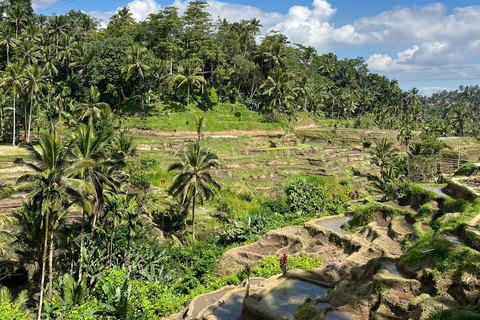 Ubud:Foresta delle scimmie, terrazze di riso, templi d&#039;acqua e cascate
