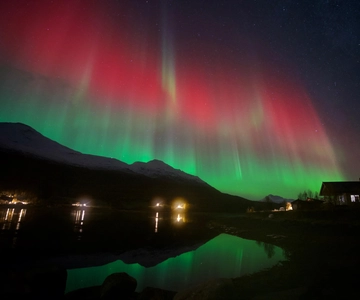 Tromsø: Northern Lights Tour with Hot Food and Drinks