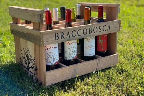 Braccobosca 酒庄之旅参观布拉科博斯卡酒庄并品尝特级葡萄酒