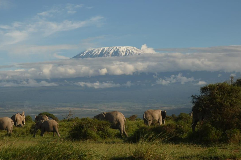 2-tägige Nairobi-Amboseli High End Tour