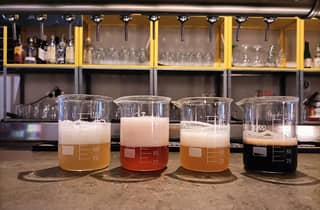 Craft-Bierverkostung und Tapas in Valencia