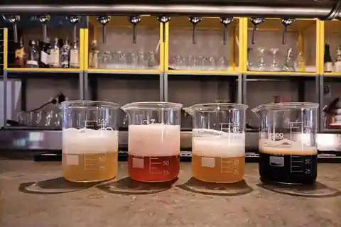 Degustação de cerveja artesanal e tapas em Valência