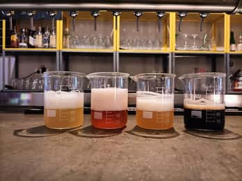 Dégustation de bières artisanales et tapas à Valence