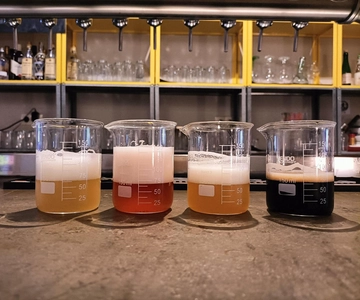 Craft Beer Tasting and tapas in Valencia