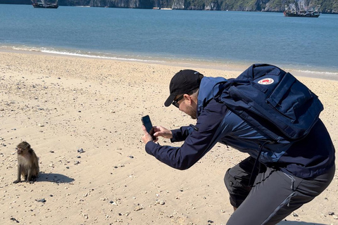 从河内出发：兰哈湾一日游，包含精彩活动从猫巴出发：兰哈湾一日游，包含丰富有趣的活动