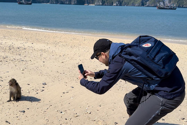 从河内出发：兰哈湾一日游，包含精彩活动从猫巴出发：兰哈湾一日游，包含丰富有趣的活动