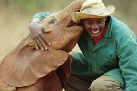 Nairobi National Park Safari, Baby Elephants & Giraffes Nairobi National Park Safari, Baby Elephants & Giraffes