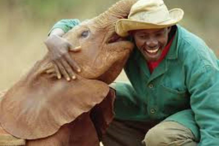 Nairobi National Park Safari, Baby Elephants & Giraffes Nairobi National Park Safari, Baby Elephants & Giraffes