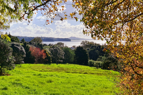 Visite de la nature à Auckland