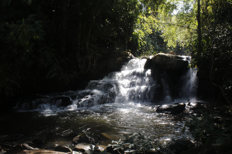 Chiang Mai: 2-Day Reforestation Adventure with Rafting Chiang Mai: 2-Day Private Reforestation Adventure