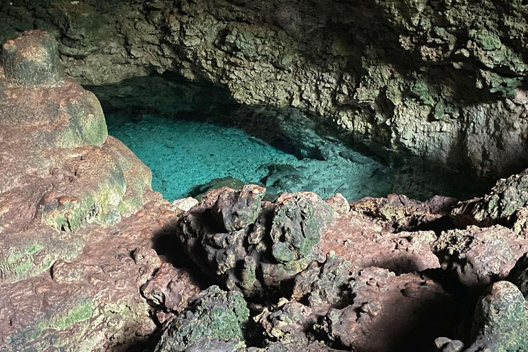 Zanzibar: Floresta Jozani, Borboletas, Caverna Kuza e Praia PajeTour particular sem serviço de busca no hotel e traslado de ida e volta incluídos