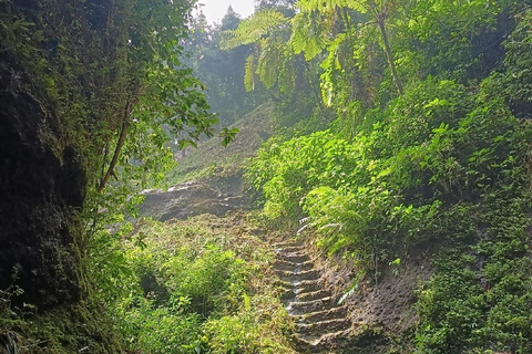 Jakarta Bogor Botanisk trädgård, risterrass och vattenfall