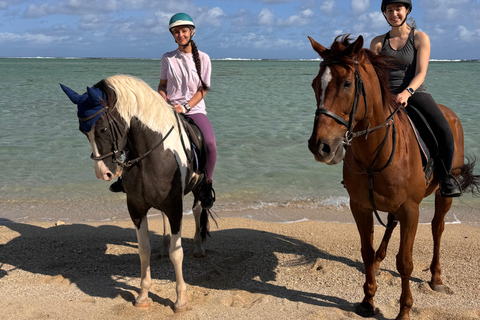 Descubriendo el sur. Paseos a caballo por la playa, excursiones a cascadas.