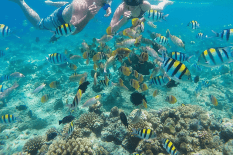 Bali: Jet Ski, Parasailing & Banana Ride with Transfer