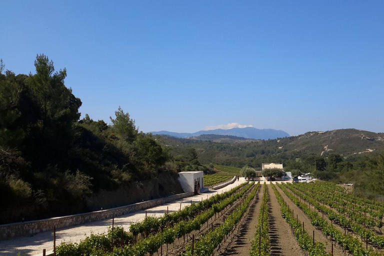 Rhodes: Filerimos & Valley of the Butterflies & Wine Tasting Tour With Pick up From FALIRAKI & KALLITHEA
