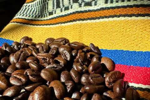 Medellin: Guatape & The Coffee Route