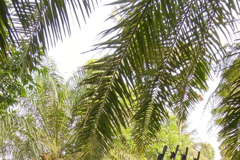 Ubud: Downhill-cykeltur med risfält, vulkan och måltidPrivat grupp