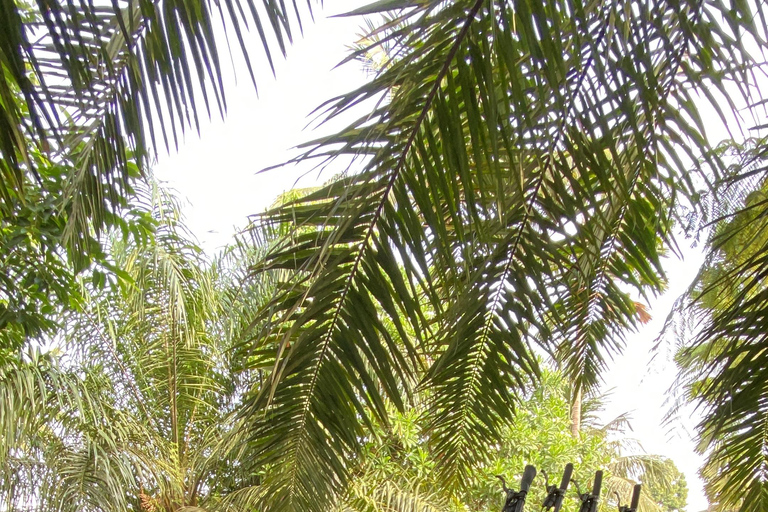 Ubud: Downhill-cykeltur med risfält, vulkan och måltidPrivat grupp