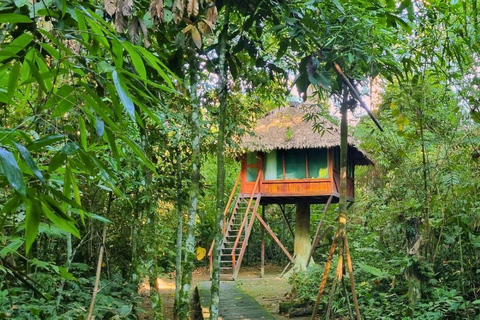 Manu: Amazon Jungle Wildlife & Macaw Clay Lick Tour