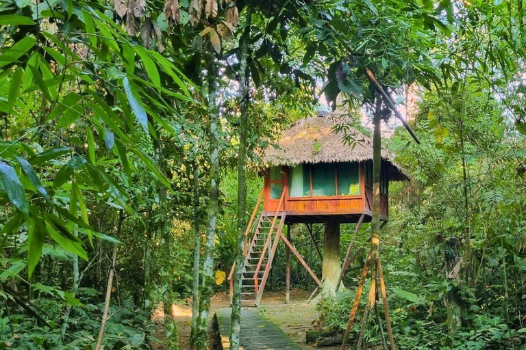 Manu: Amazon Jungle Wildlife & Macaw Clay Lick Tour
