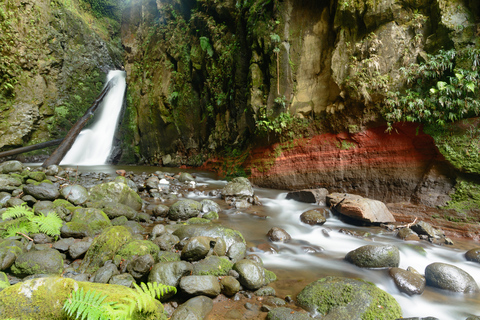 Sao Miguel: Salto do Cabrito Geführte Canyoning-ErfahrungTour mit Abholung von Ponta Delgada